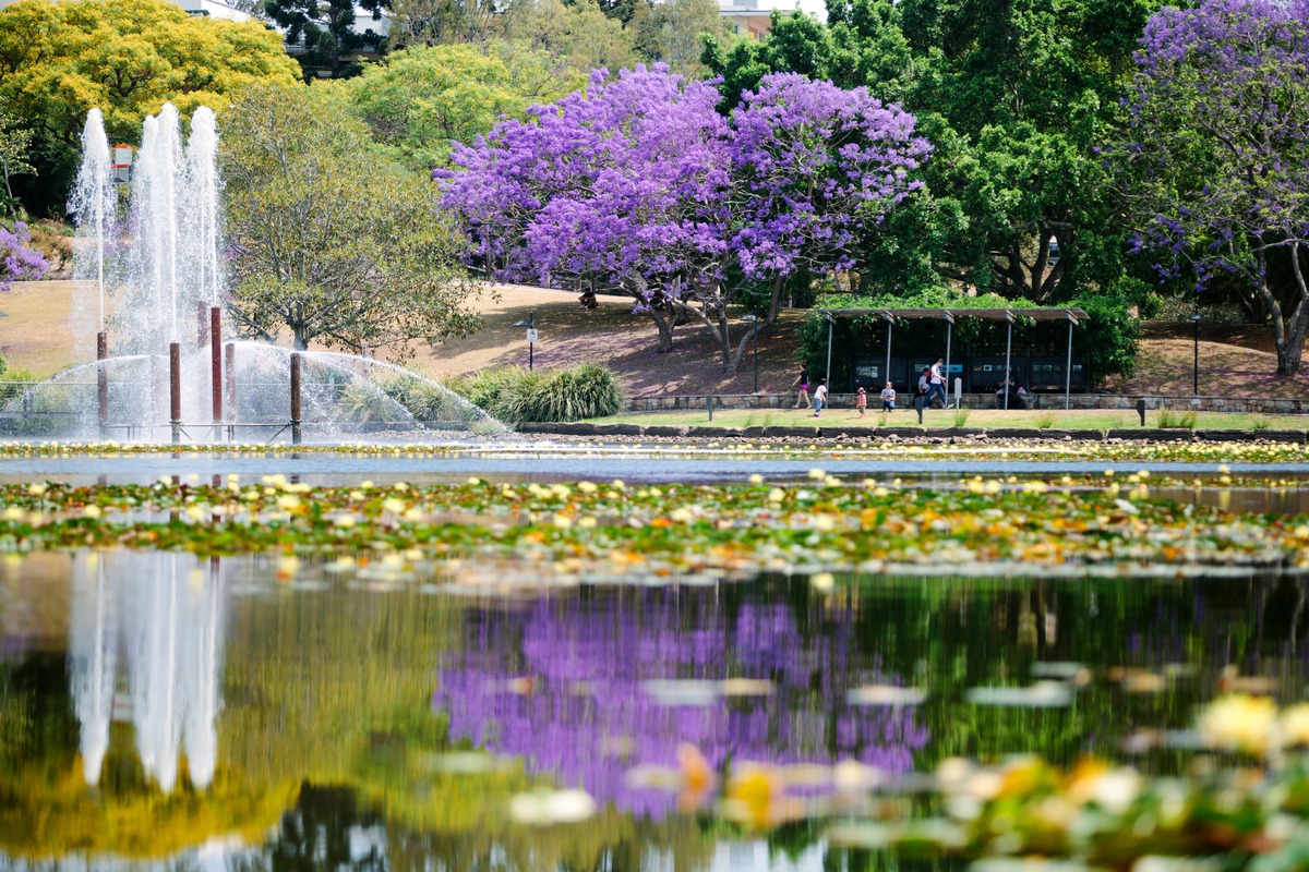 University of Queensland
